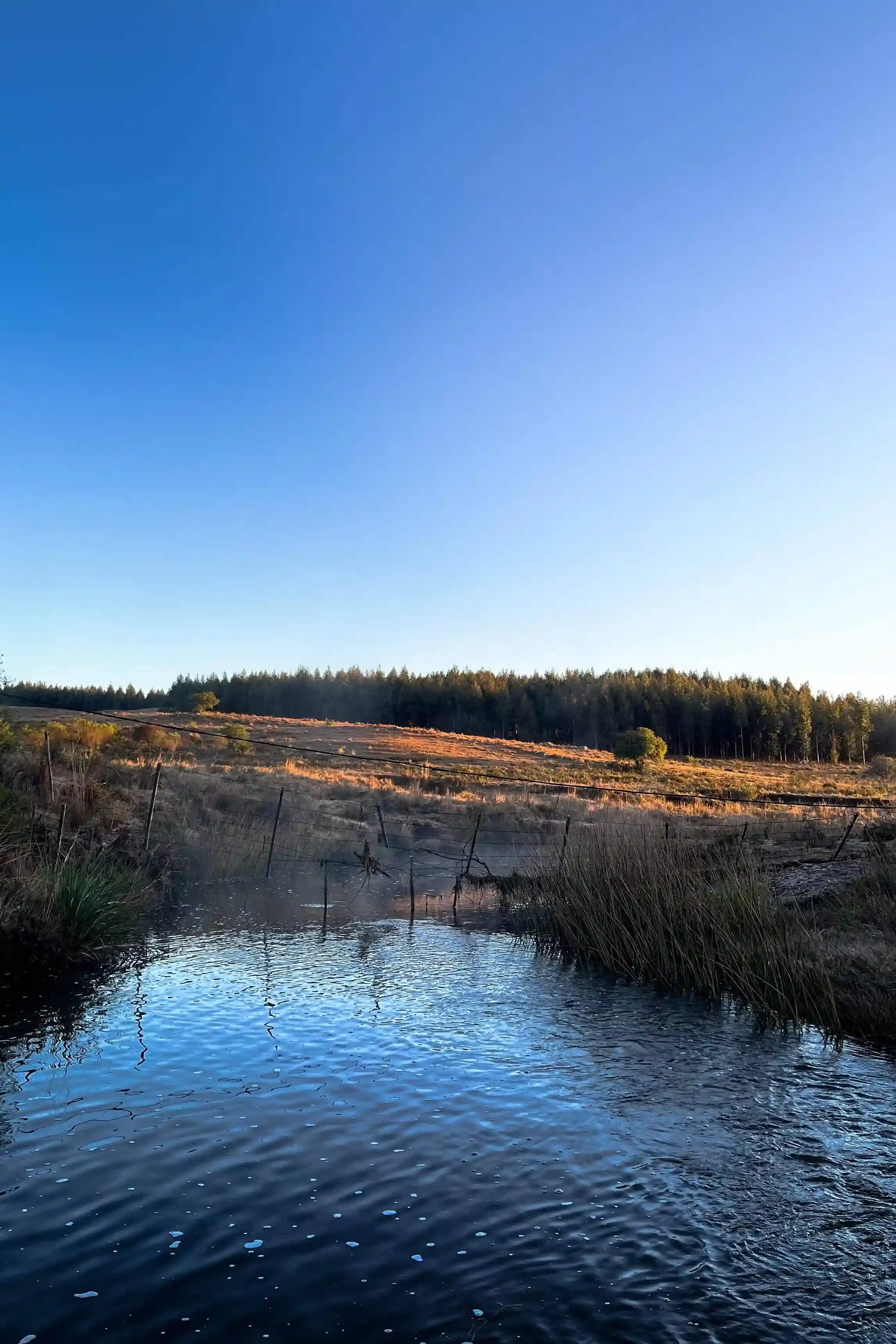 Río y vegetación autóctona en el recorrido de la Ultra Cuchilla Grande