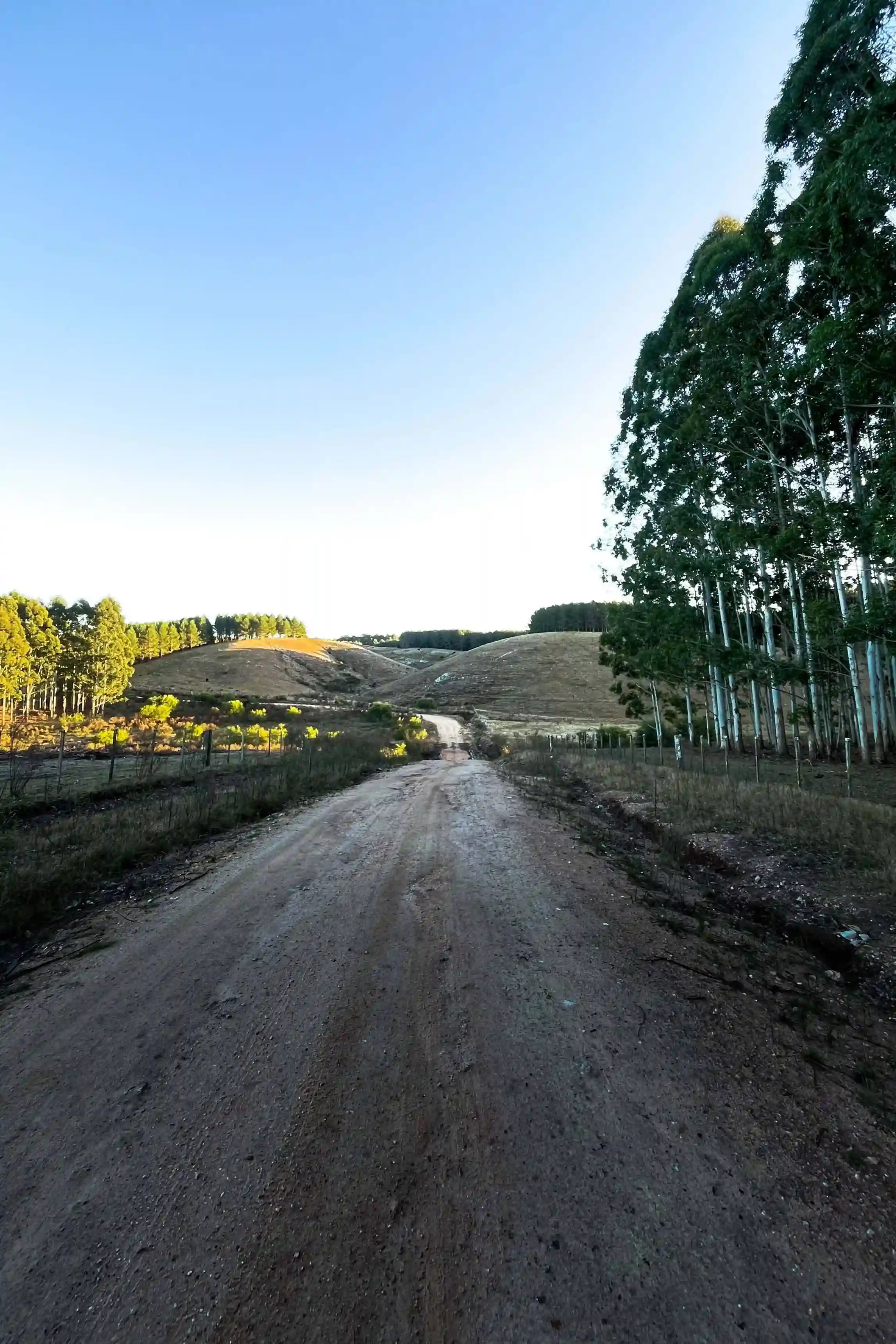 Paisaje de campo abierto y cielo despejado