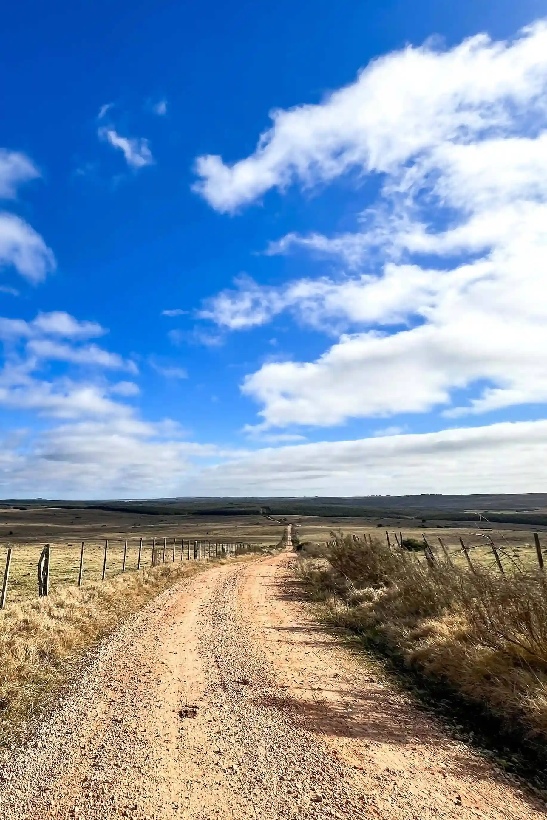 Paisaje natural de la zona de la carrera Ultra Cuchilla Grande