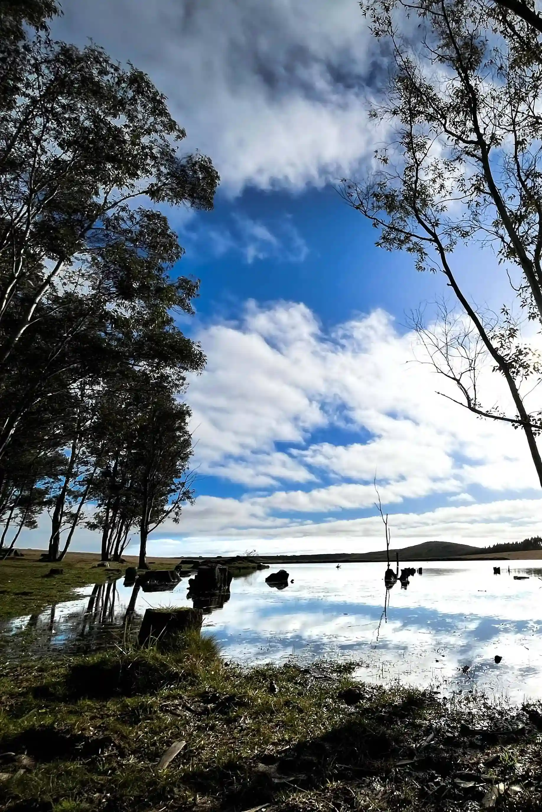 Paisaje natural típico de la región de la carrera