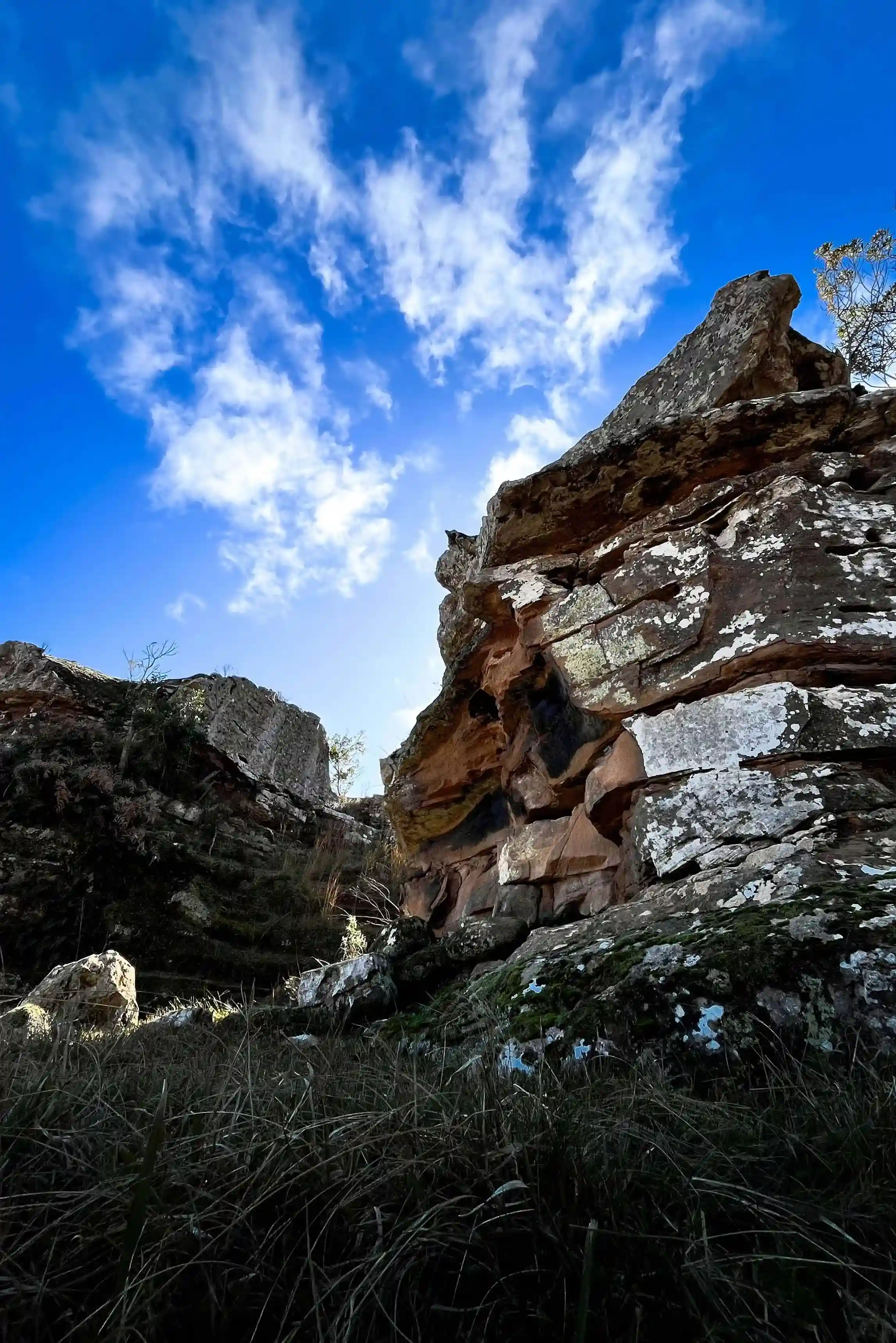 Vista panorámica del entorno rural de Santa Clara de Olimar