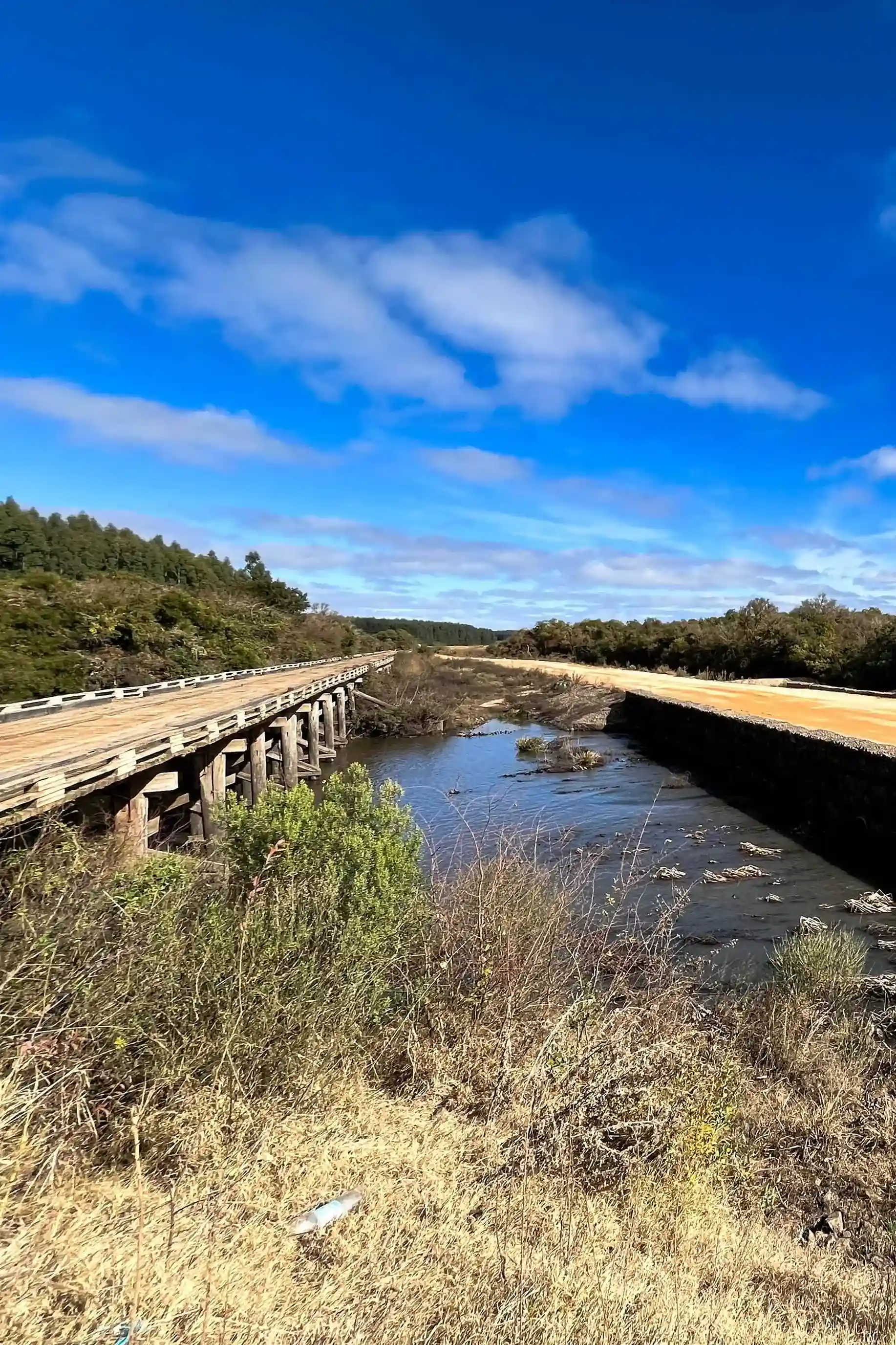 Sendero natural entre vegetación en la carrera