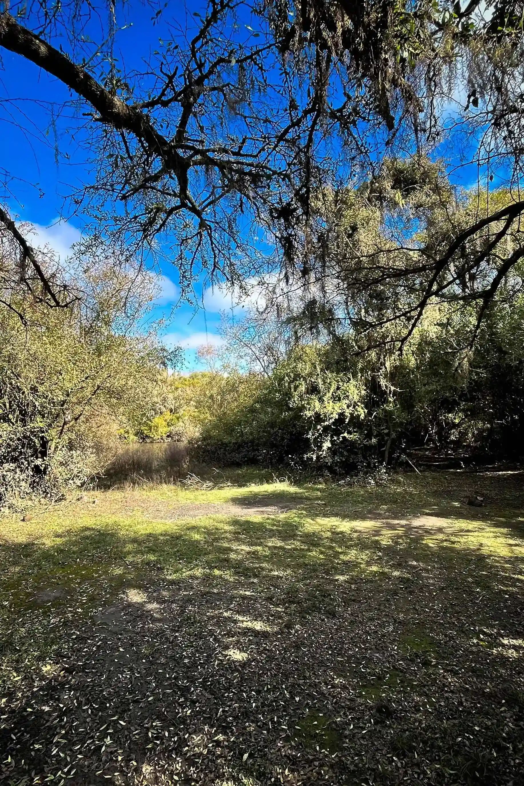 Paisaje de campo y cerros en la ruta de la ultramaratón